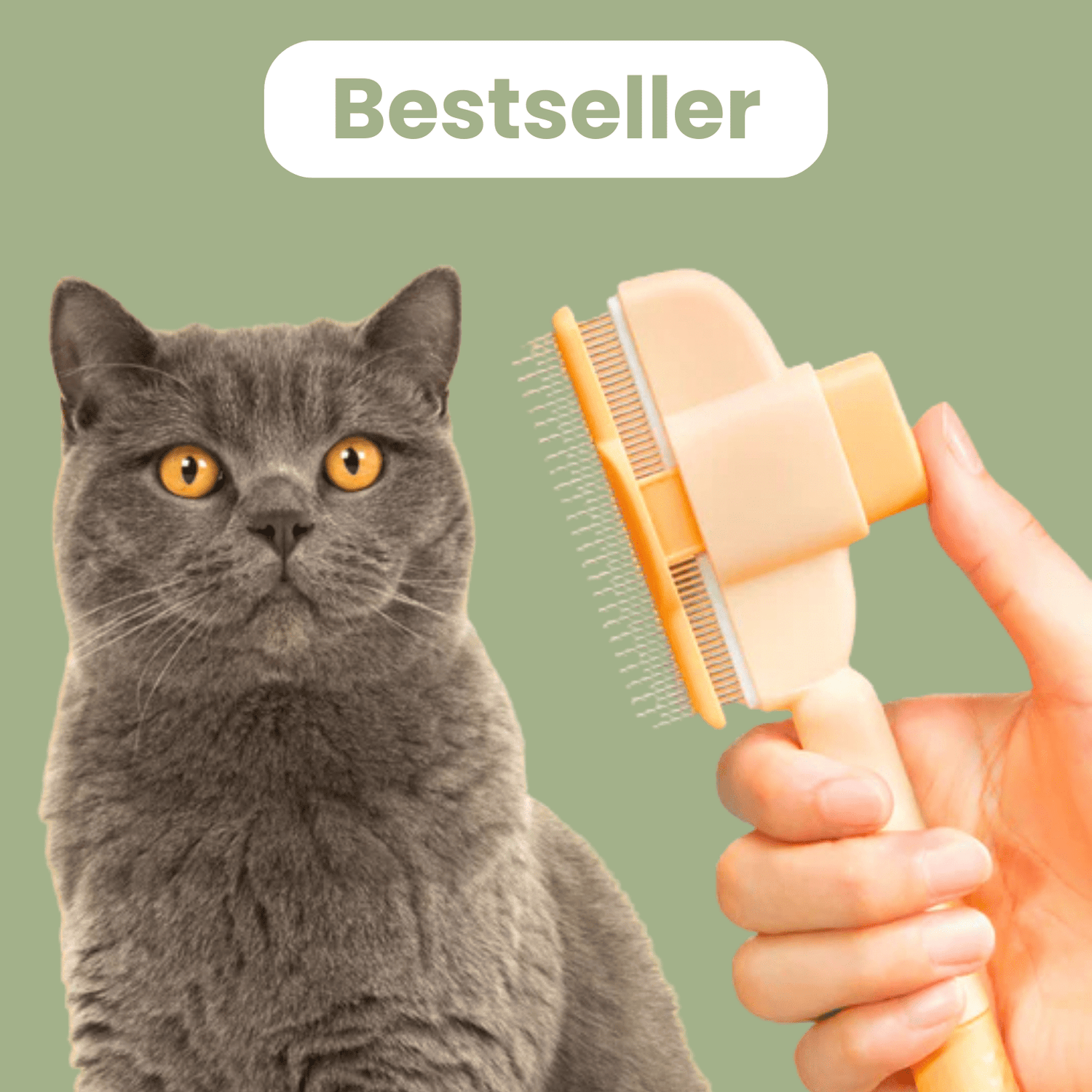 Brosse anti - poil pour chat - Le TroneCanin