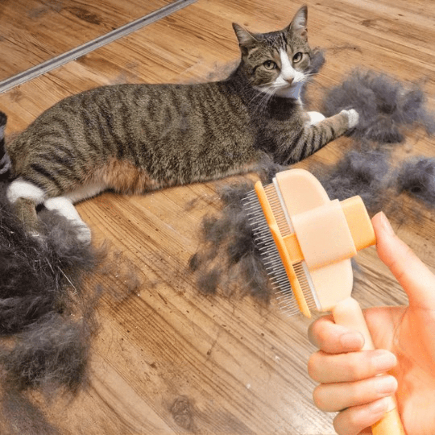 Brosse anti - poil pour chat - Le TroneCanin