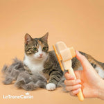 Brosse anti - poil pour chat - Le TroneCanin
