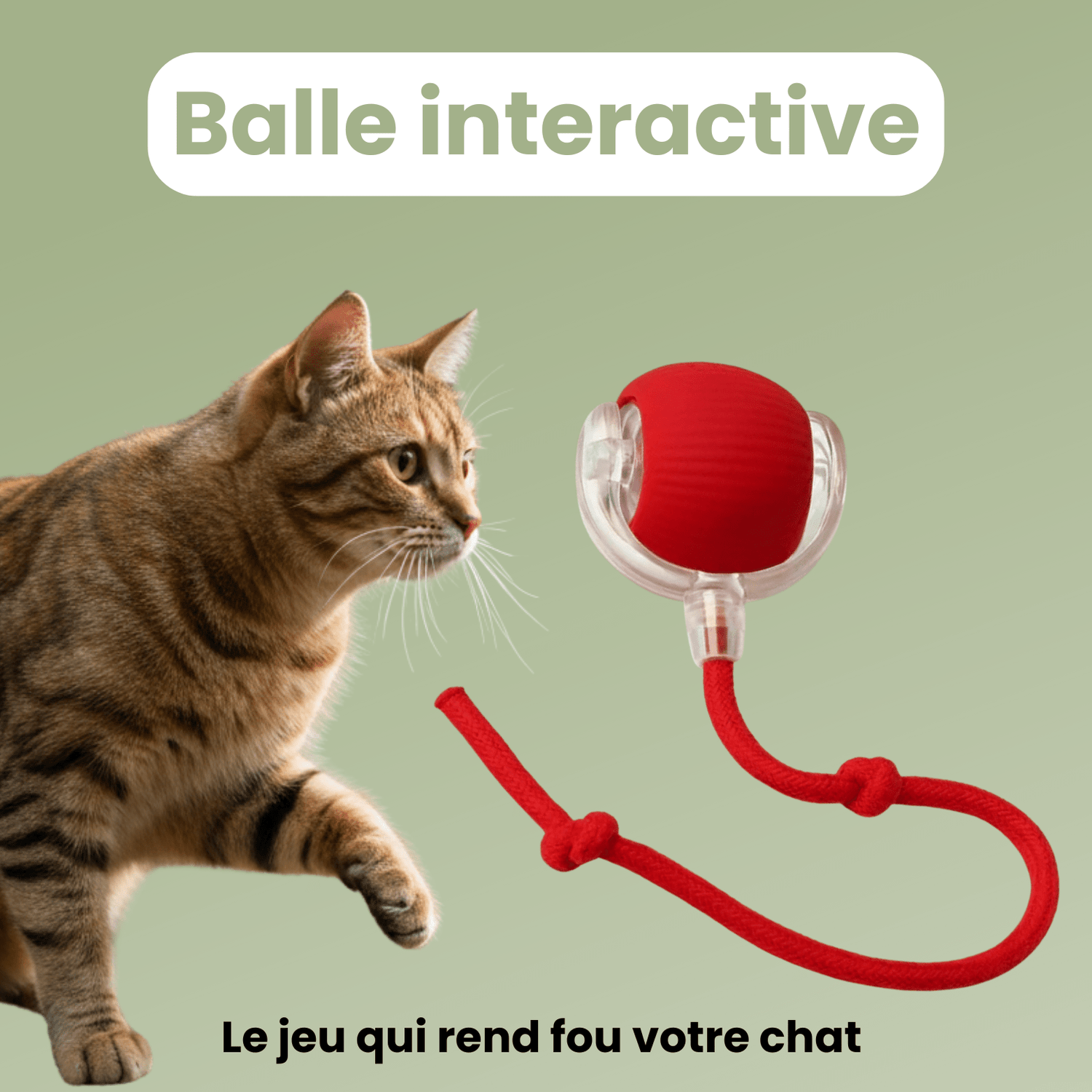 CrazyBall™ - Balle Interactive - Le TroneCanin