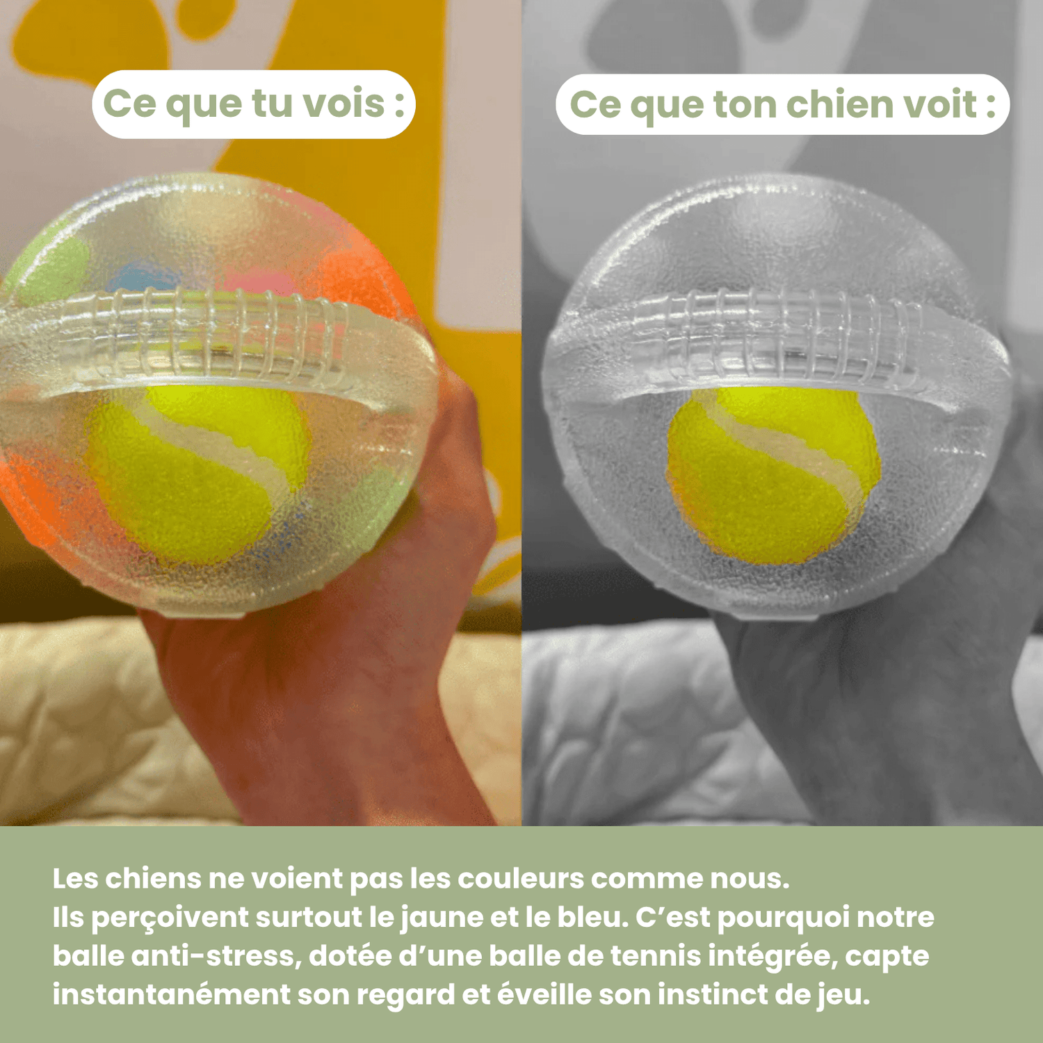 DogPlay - Balle anti - stress - Le TroneCanin