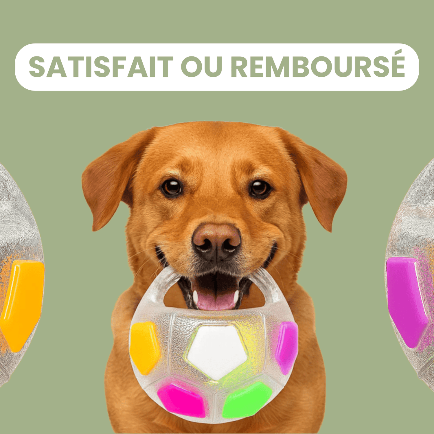 DogPlay - Balle anti - stress - Le TroneCanin