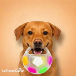 DogPlay - Balle anti - stress - Le TroneCanin