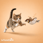 FlyBird 2.0 - Le TroneCanin