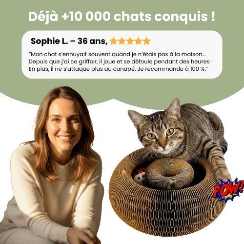 Griffoir interactif pour chats - Le TroneCanin