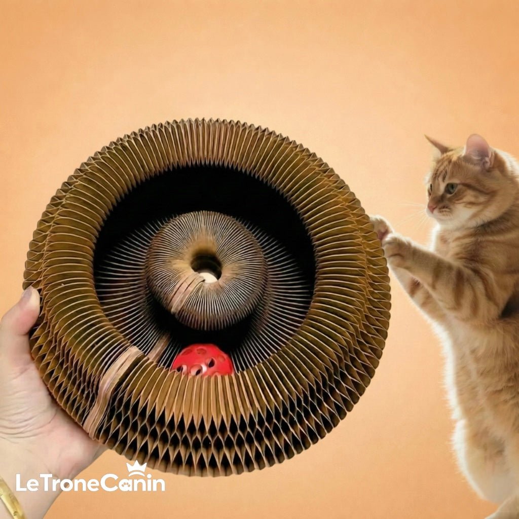 Griffoir interactif pour chats - Le TroneCanin