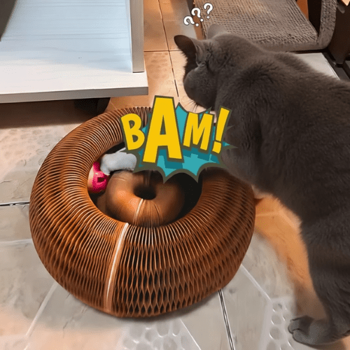 Griffoir interactif pour chats - Le TroneCanin