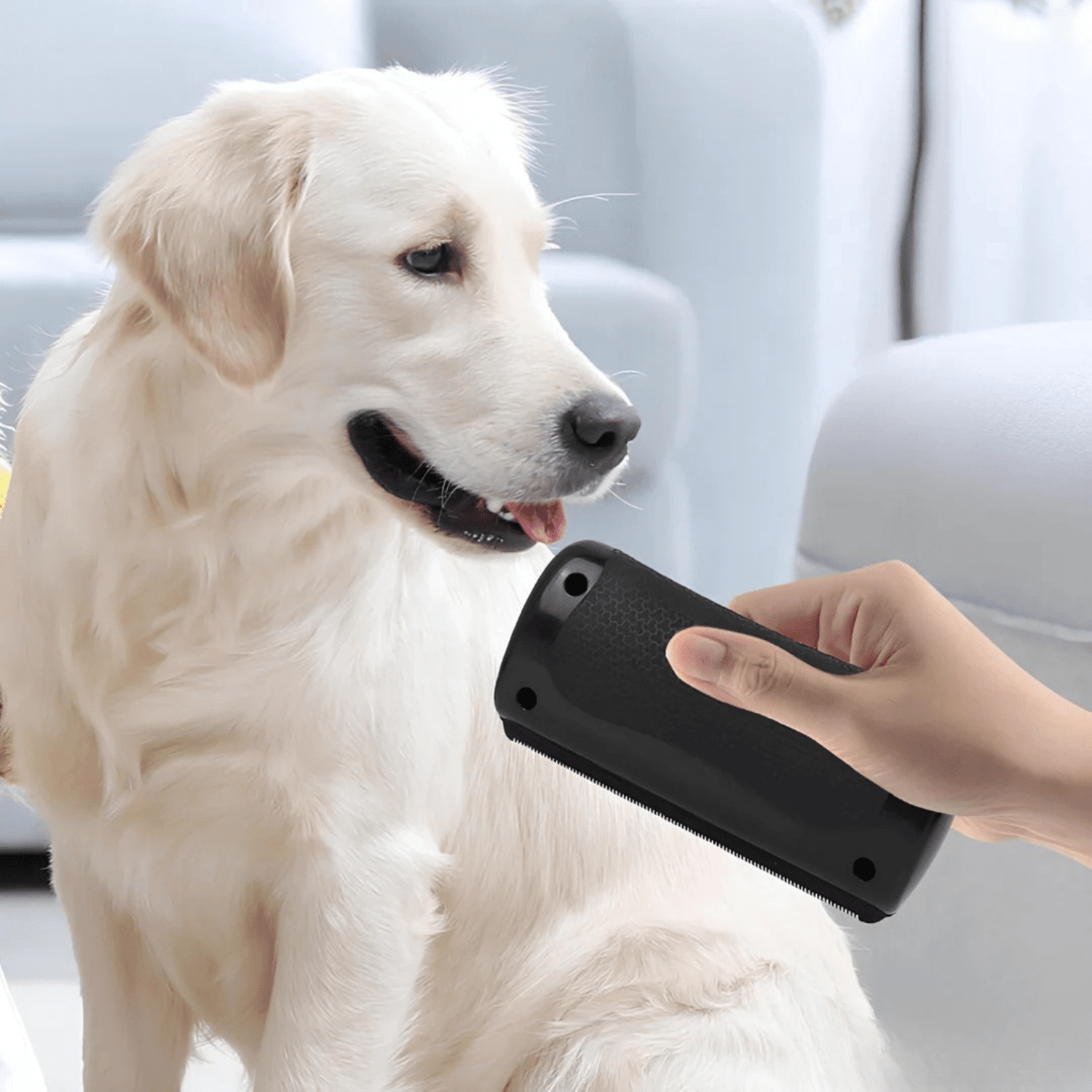 La Brosse Magique pour chien - Le TroneCanin