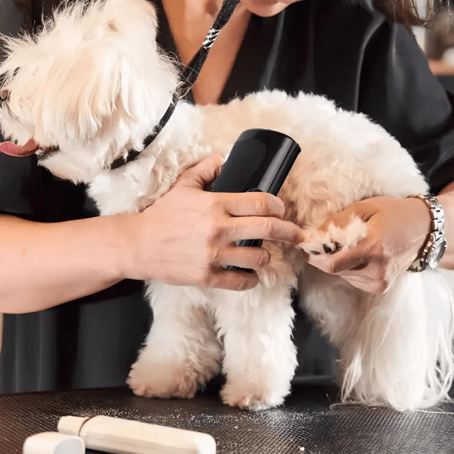 La Brosse Magique pour chien - Le TroneCanin