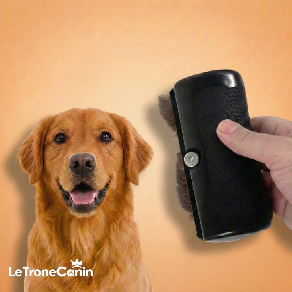 La Brosse Magique pour chien - Le TroneCanin
