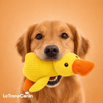 ZenDuck™ - Canard anti - stress - Le TroneCanin